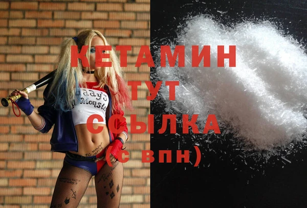 сатива Армянск
