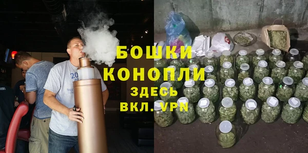 сатива Аркадак