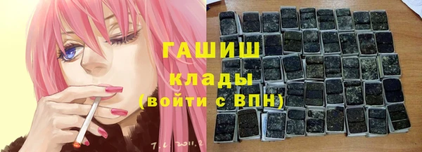 сатива Армянск