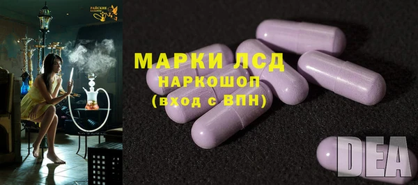 сатива Аркадак