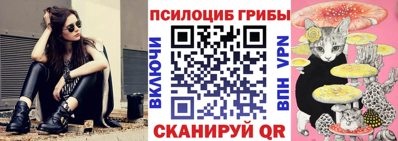 ссылка на мегу ССЫЛКА  Почеп  Галлюциногенные грибы Cubensis 